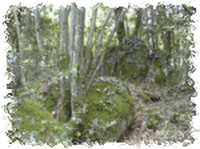 croix des ages