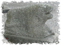 Lion à cupules