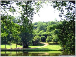 Verdure Barrage du moulin de lyon