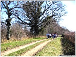 Chemin brande des mottes 